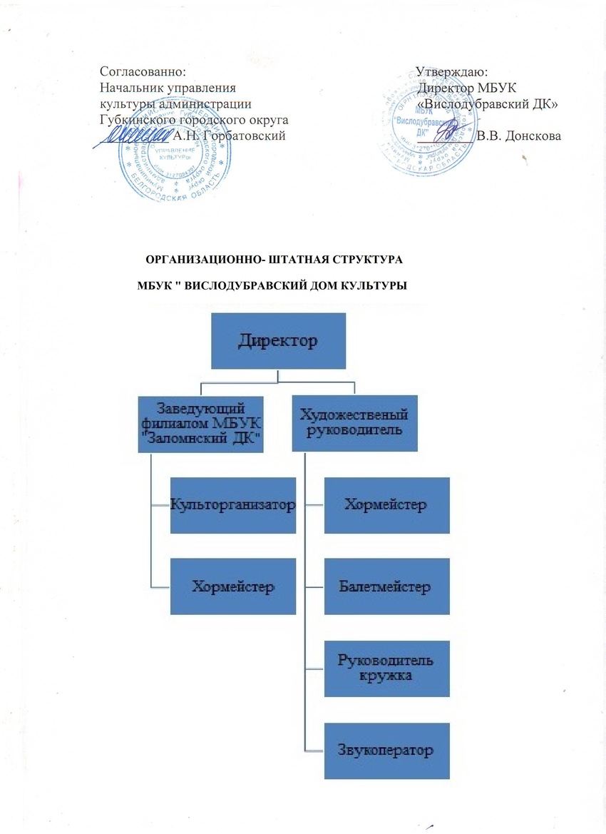 Структура МБУК "Вислодубравский ДК"